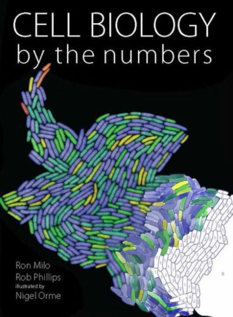 Cell Biology by the Numbers