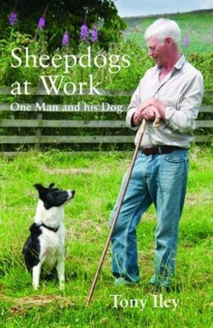 Sheepdogs at Work - One Man and His Dog