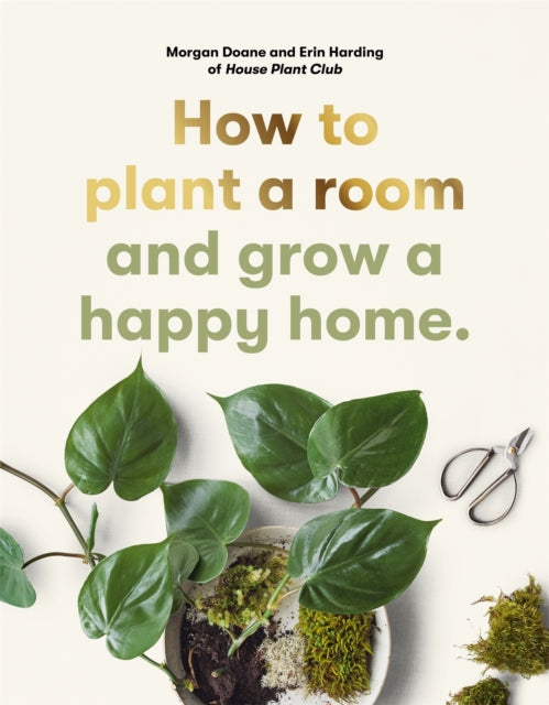 How to plant a room - and grow a happy home