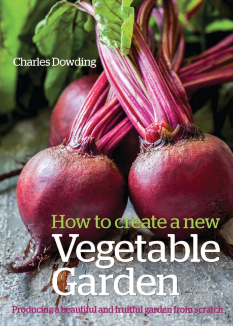 How to create a New Vegetable Garden: Producing a beautiful and fruitful garden from scratch