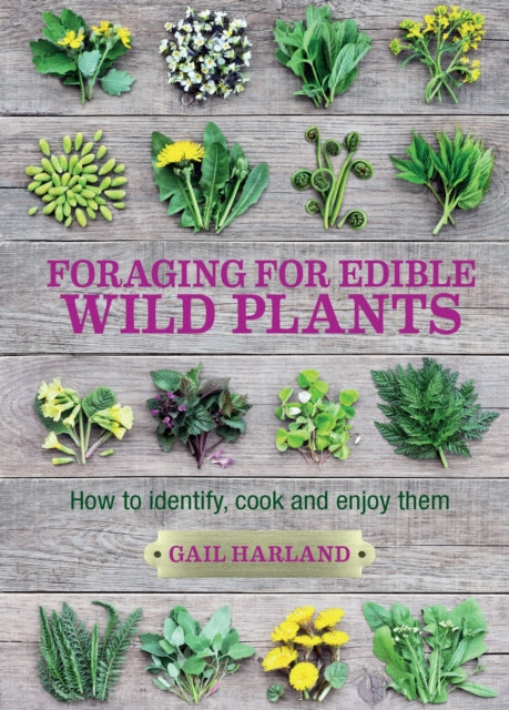 Foraging for Edible Wild Plants