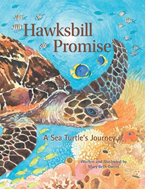 Hawksbill Promise