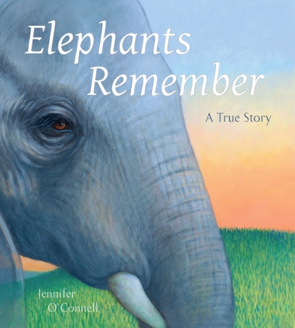 Elephants Remember