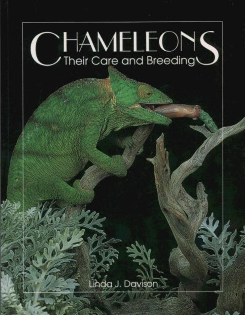 Chameleons