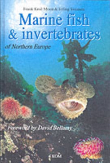 Marine Fish & Invertebrates of Northern Europe