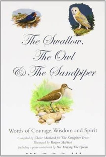 Swallow, the Owl and the Sandpiper