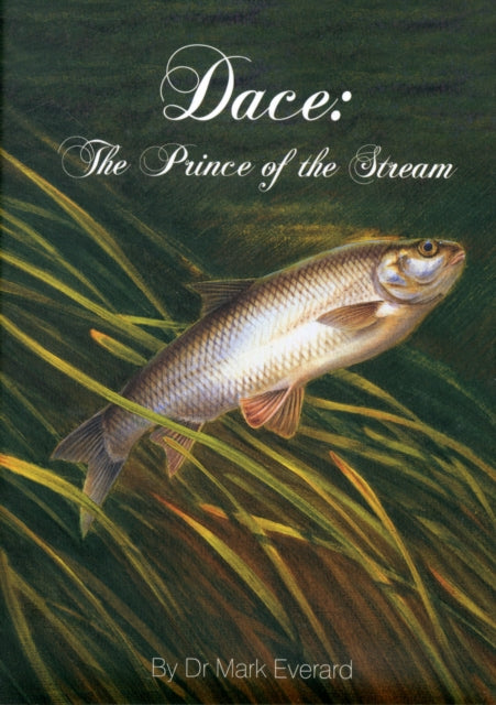 Dace: The Prince of the Stream