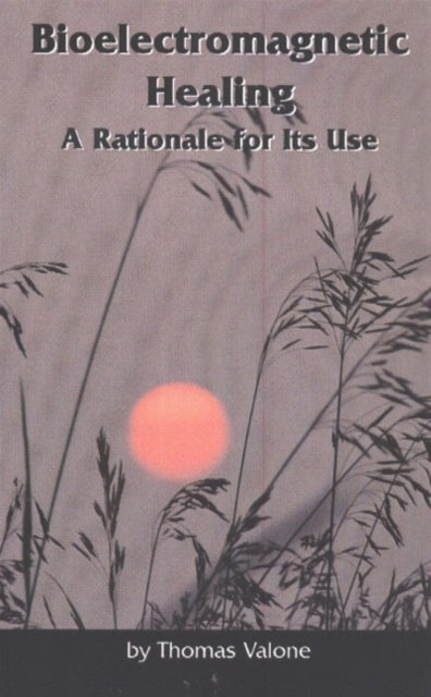 Bioelectromagnetic Healing: A Rationale for Its Use
