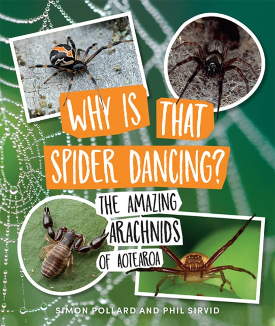 Why Is That Spider Dancing? - The Amazing Arachnids of Aotearoa