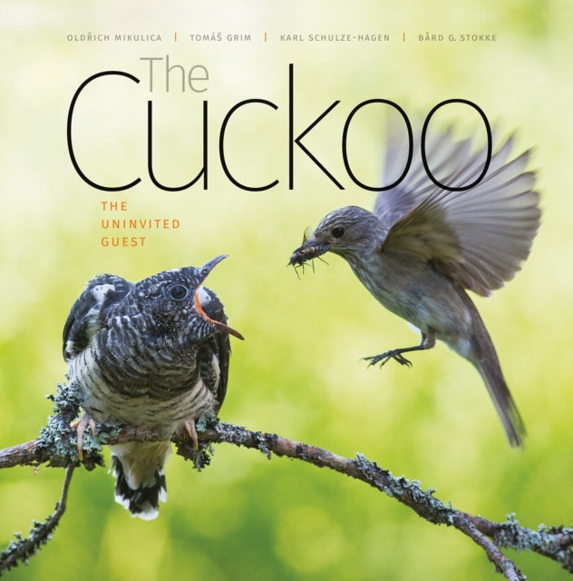 Cuckoo