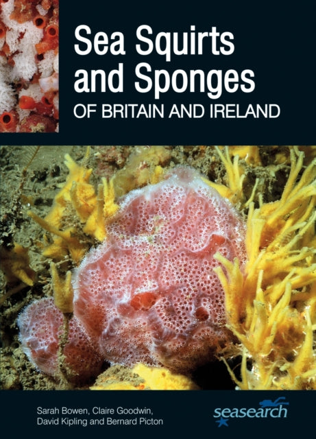 Sea Squirts and Sponges of Britain and Ireland