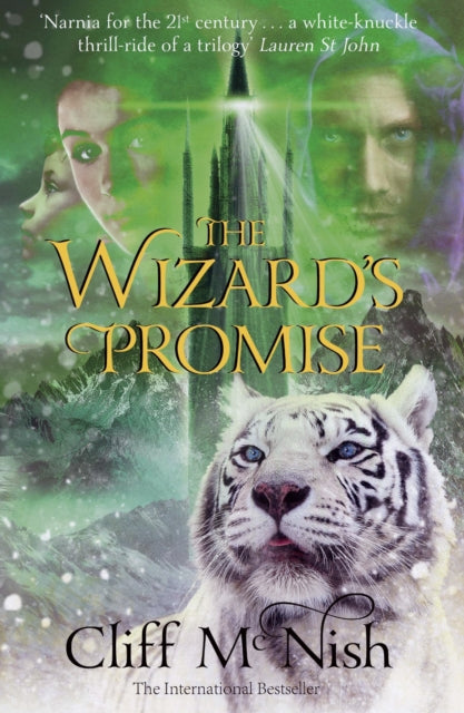 Wizard's Promise