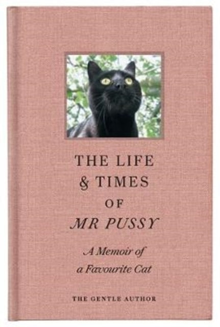 Life & Times Of Mr Pussy