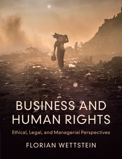 Business and Human Rights - Ethical, Legal, and Managerial Perspectives