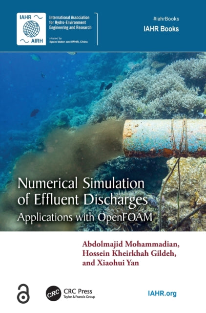 Numerical Simulation of Effluent Discharges