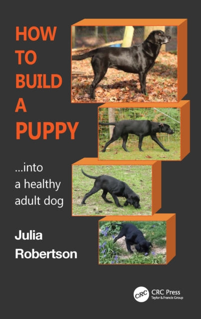 How to Build a Puppy - ...Into a healthy adult dog