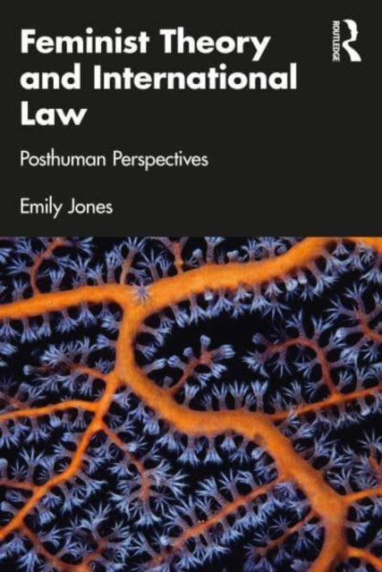 Feminist Theory and International Law