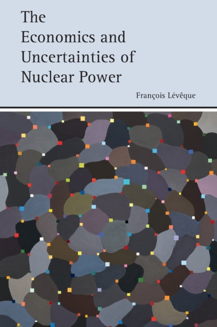 Economics and Uncertainties of Nuclear Power