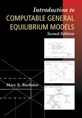 Introduction to Computable General Equilibrium Models