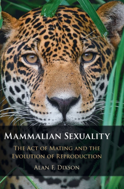 Mammalian Sexuality