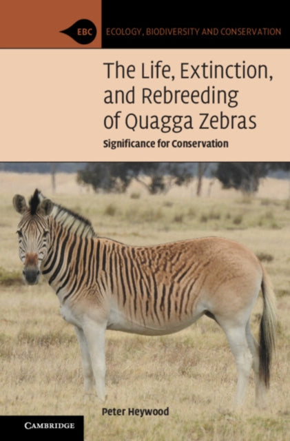 Life, Extinction, and Rebreeding of Quagga Zebras