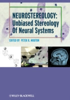 Neurostereology: Unbiased Stereology of Neural Systems
