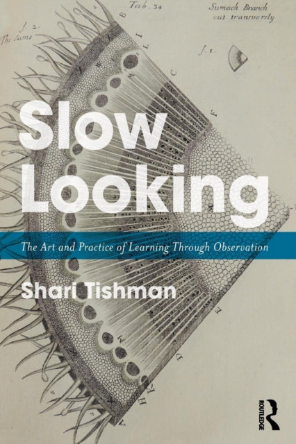 Slow Looking - The Art and Practice of Learning Through Observation