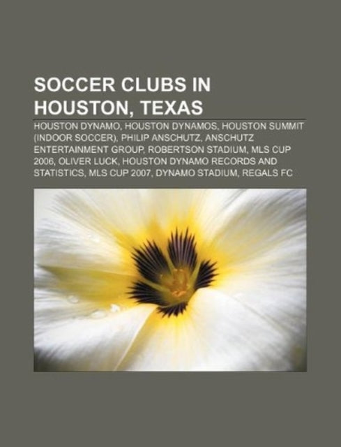 Soccer Clubs in Houston, Texas: Houston Dynamo, Houston Dynamos, Houston Summit (Indoor Soccer), Philip Anschutz, Anschutz Entertainment Group