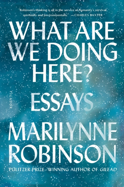 What Are We Doing Here? - Essays