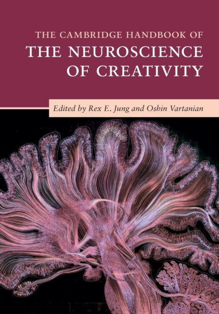 Cambridge Handbook of the Neuroscience of Creativity