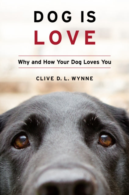 Dog Is Love - Why and How Your Dog Loves You