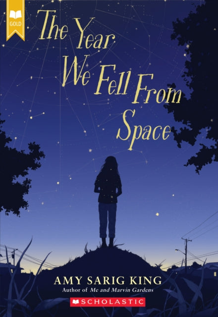 Year We Fell From Space (Scholastic Gold)