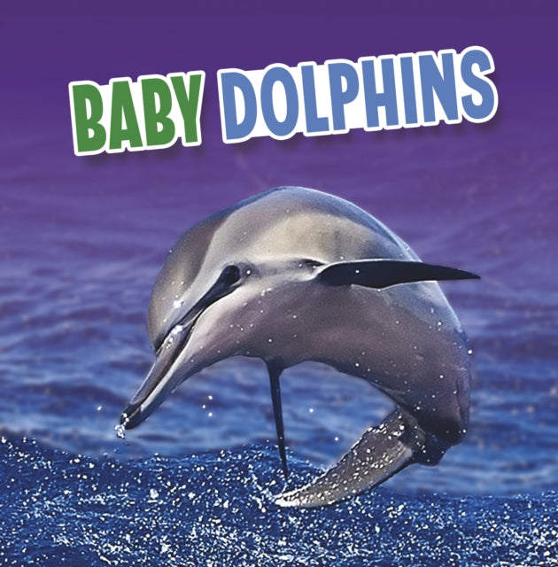 Baby Dolphins