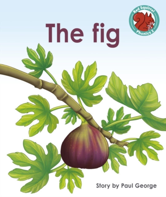 Fig