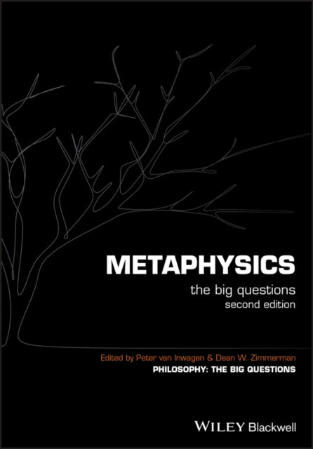 Metaphysics: the Big Guestions