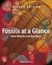 Fossils At a Glance