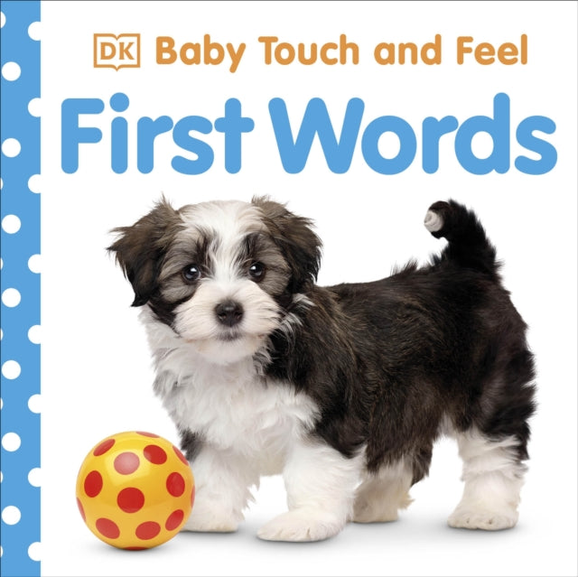 Baby Touch and Feel: First Words