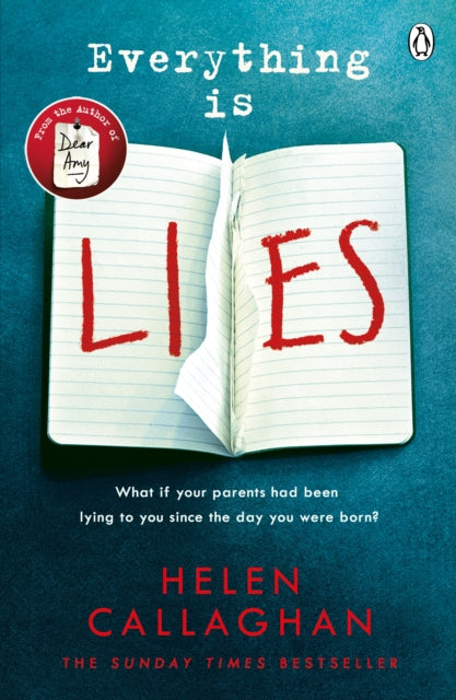 Everything Is Lies - From the Sunday Times bestselling author of Dear Amy