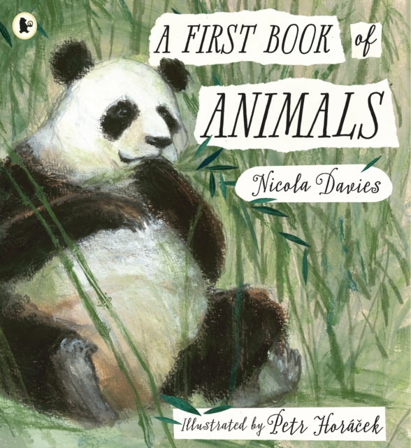 First Book of Animals