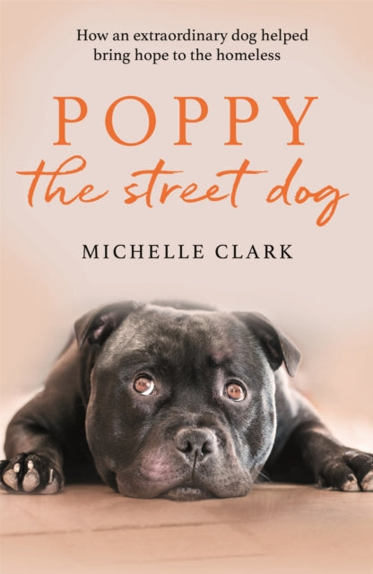 Poppy The Street Dog - How an extraordinary dog helped bring hope to the homeless