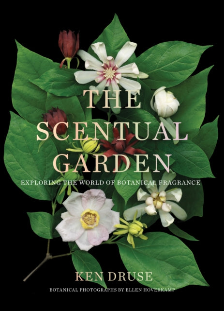 The Scentual Garden: Exploring the World of Botanical Fragrance