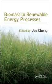 BIOMASS TO RENEWABLE ENERGY PROCESSES