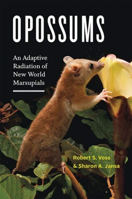 Opossums - An Adaptive Radiation of New World Marsupials