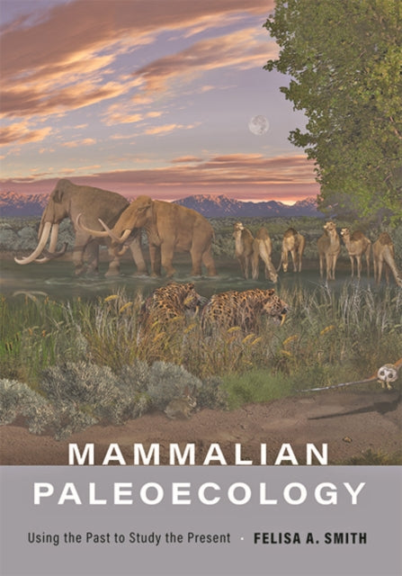 Mammalian Paleoecology