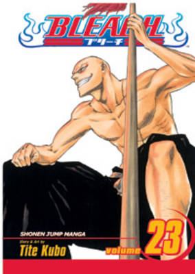 Bleach, Vol. 23