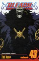 BLEACH, VOL. 43