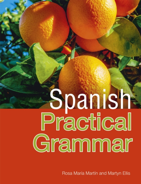 Pasos Spanish Practical Grammar: 4th Edition