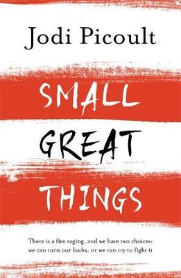 Small Great Things: 'To Kill a Mockingbird for the 21st Century'