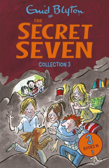 Secret Seven Collection 3