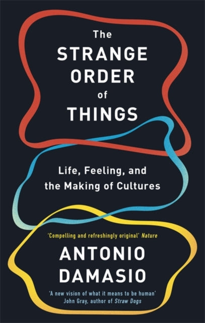 The Strange Order Of Things - Life, Feeling and the Making of Cultures
